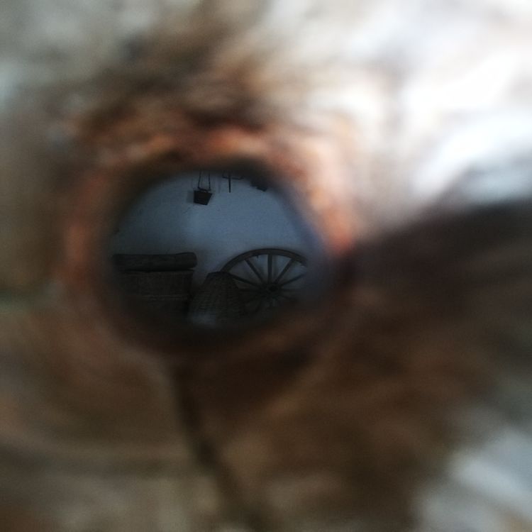 cover art for Womb People