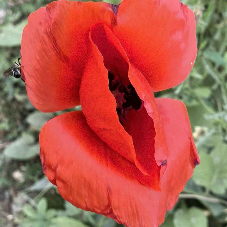 cover art for Flowing River at the Moment of a Confession