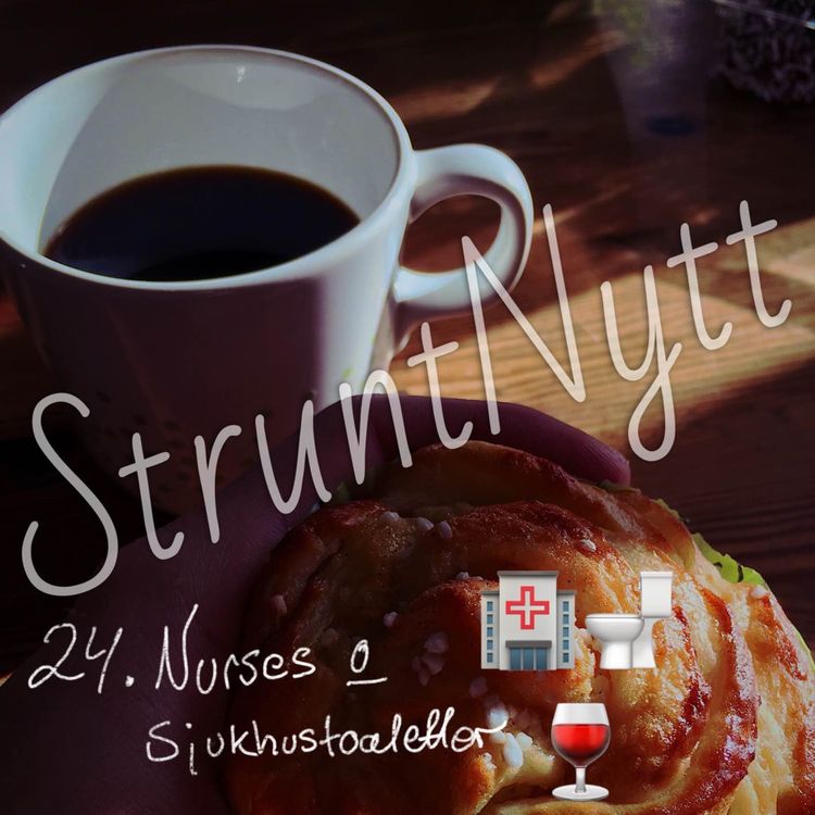cover art for 24. Nurses & Sjukhustoaletter