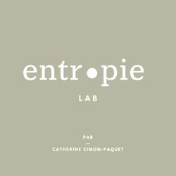 cover art for Entropie Lab