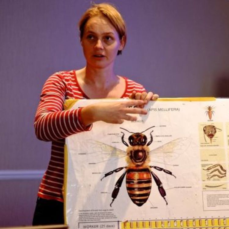 cover art for #3 | Camilla Goddard - Urban beekeeping in London