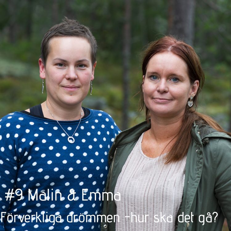 cover art for Förverkliga drömmen, hur ska det gå?