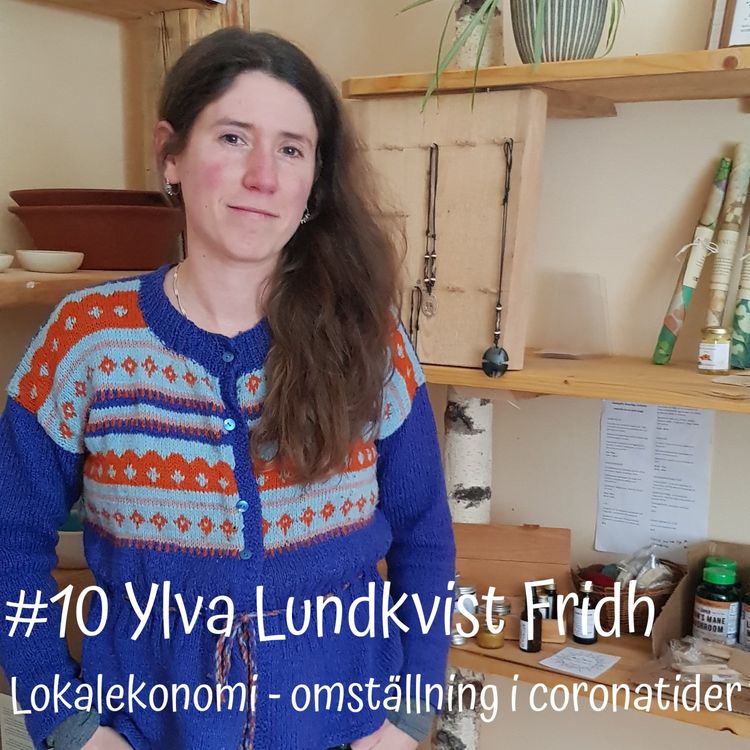 cover art for Lokalekonomi - omställning i coronatider