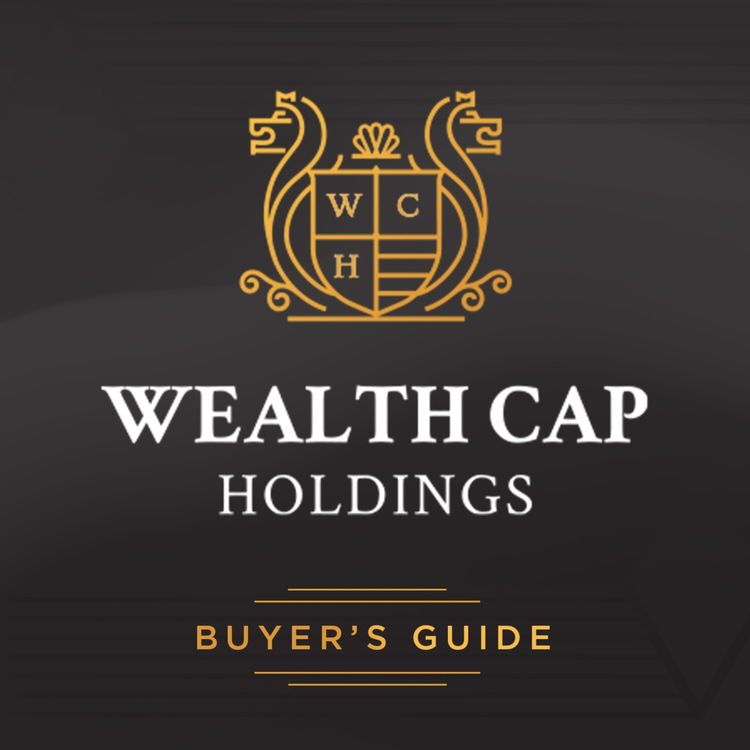 cover art for Process Overview: Why Wealth Cap?