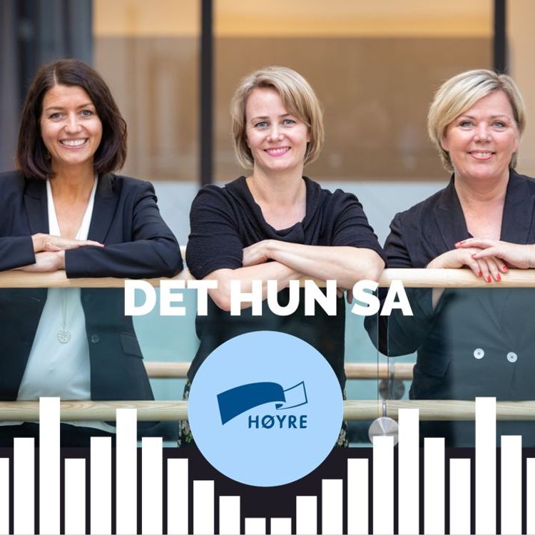 cover art for #19: Hersketeknikker med Sigrid Sollund