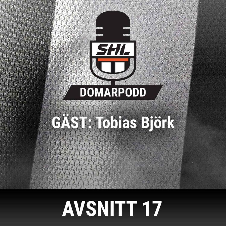 cover art for Tips, uppfyllda drömmar och skit från fansen med guldpipevinnaren