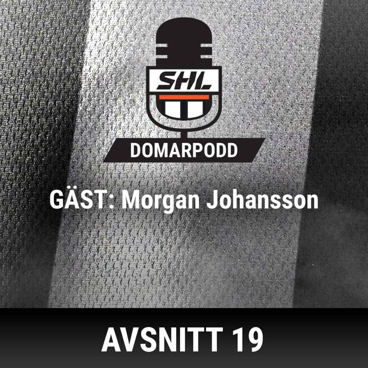 cover art for Kulturförändringar och spelarsäkerhet med Morgan Johansson