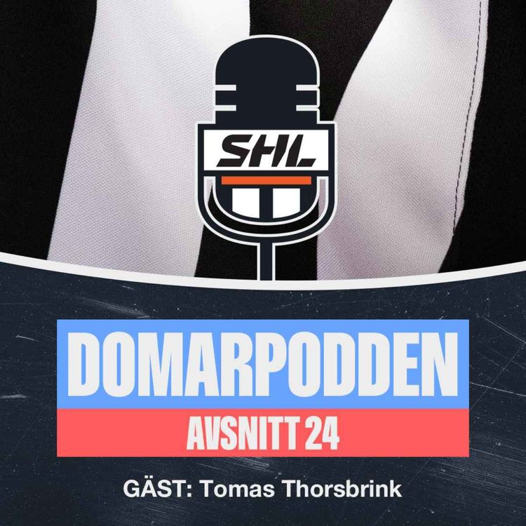 cover art for AVSNITT 24: DOMARPODDEN MED TOMAS THORSBRINK - FRÅGESTUND OCH ANNAT DOMARSNACK