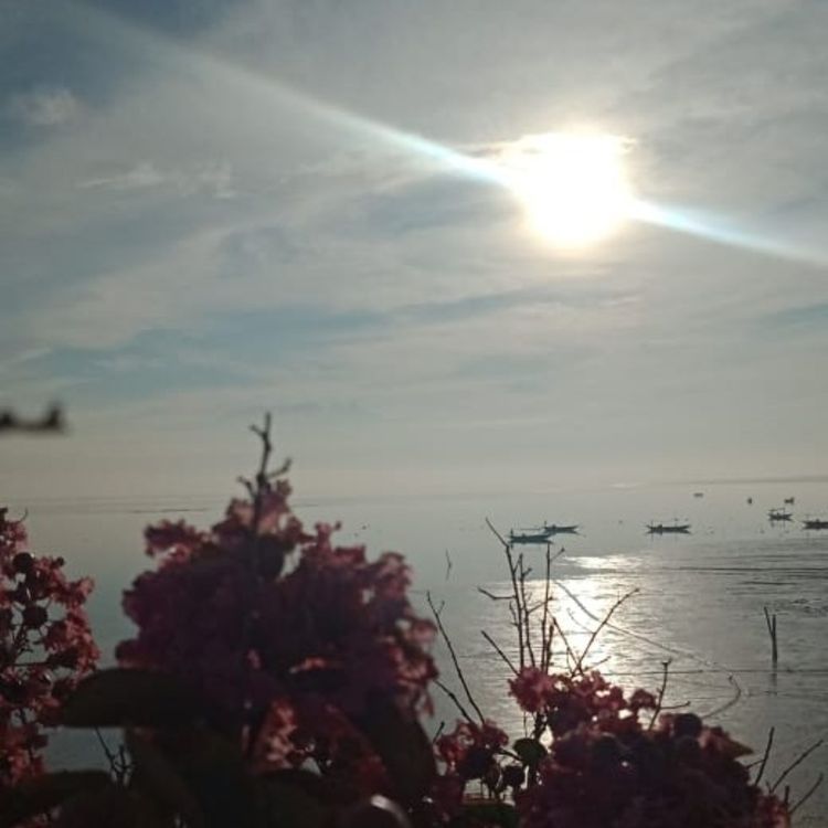 cover art for Episode 4 -Lupakanmu