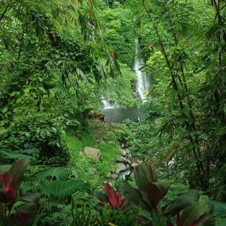 cover art for Episode 5 -Aku sendiri