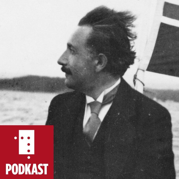 cover art for Albert Einstein i Noreg. Nils Voje Johansen