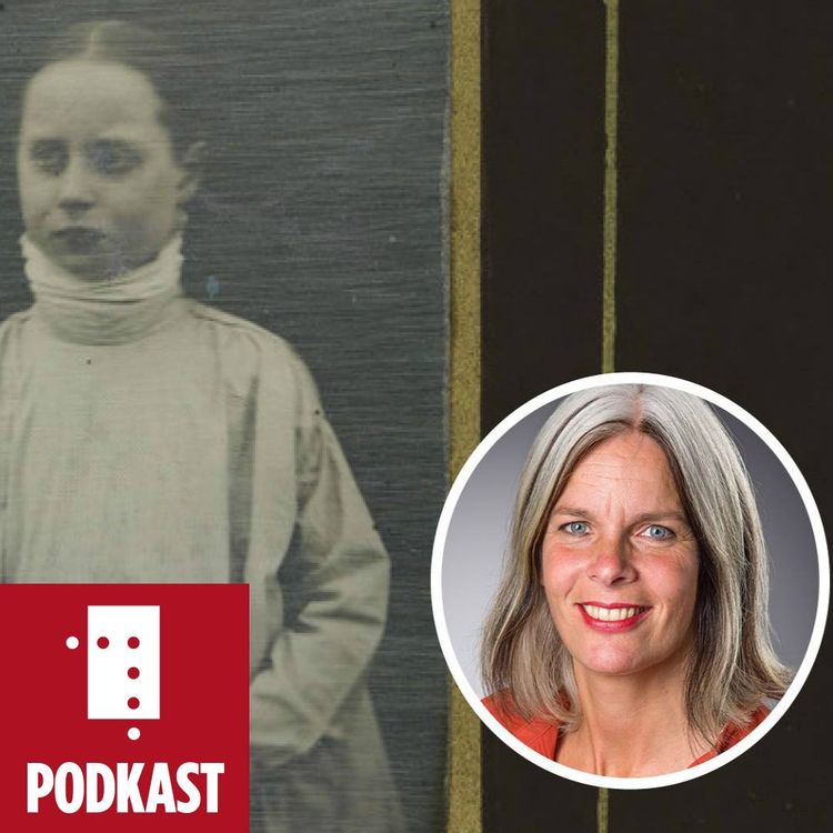 cover art for Den norske sjukdommen. Anne Kveim Lie om radesjuken