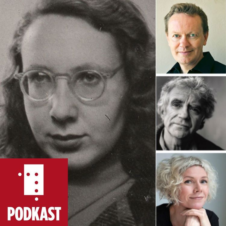 cover art for Støv og papir. Jan Erik Vold, Steinar Opstad og Hanne Ørstavik om Hofmos prosa
