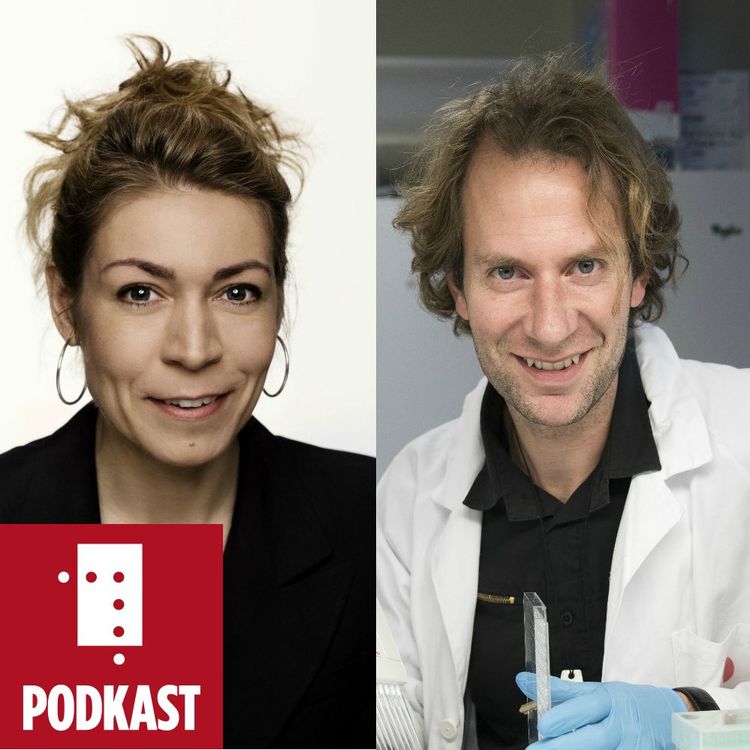 cover art for Kyborgane kjem. Lone Frank og Lasse Pihlstrøm om hjerneforsking