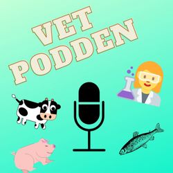 cover art for VETpodden