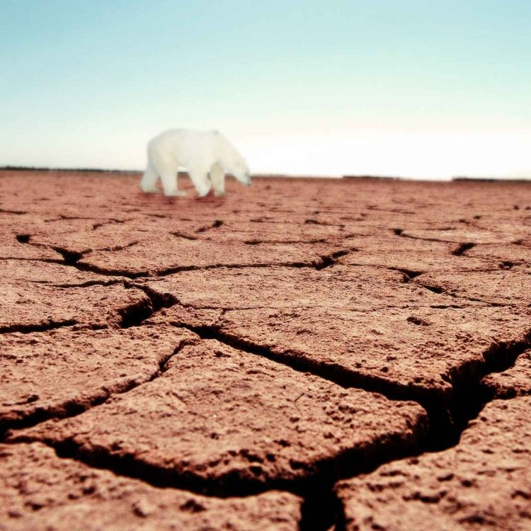 cover art for Klimaendringer og utbrudd av farlige sykdommer og pandemier
