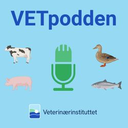 cover art for VETpodden