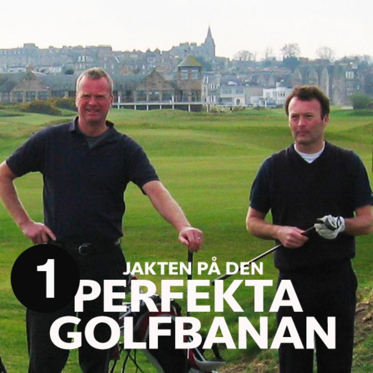 cover art for Visst saknar vi den lilla golfbollen?