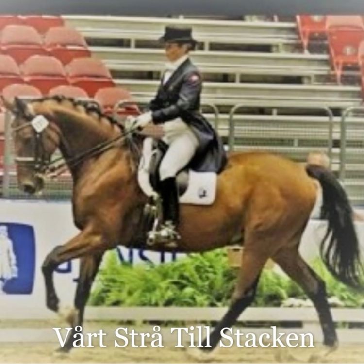 cover art for Avsnitt 2 Waaler