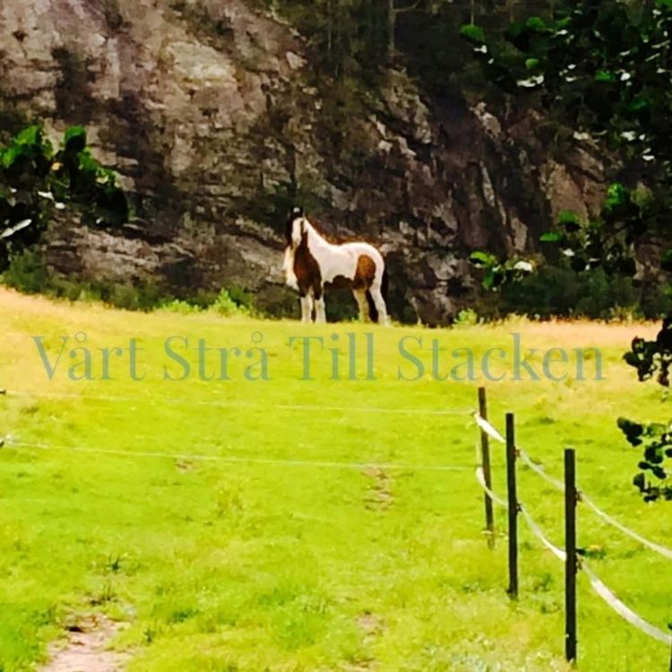 cover art for Avsnitt 3 Dag Albert