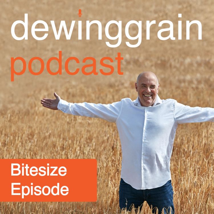 cover art for 364 - Face to Face