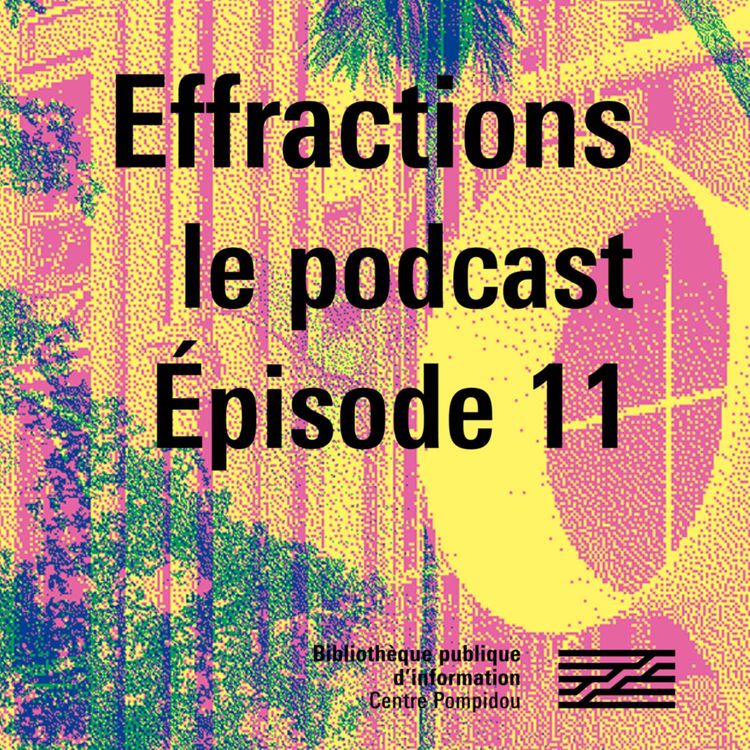 cover art for Effractions : le podcast #11. Camille Froidevaux-Metterie parle de Toucher la terre ferme