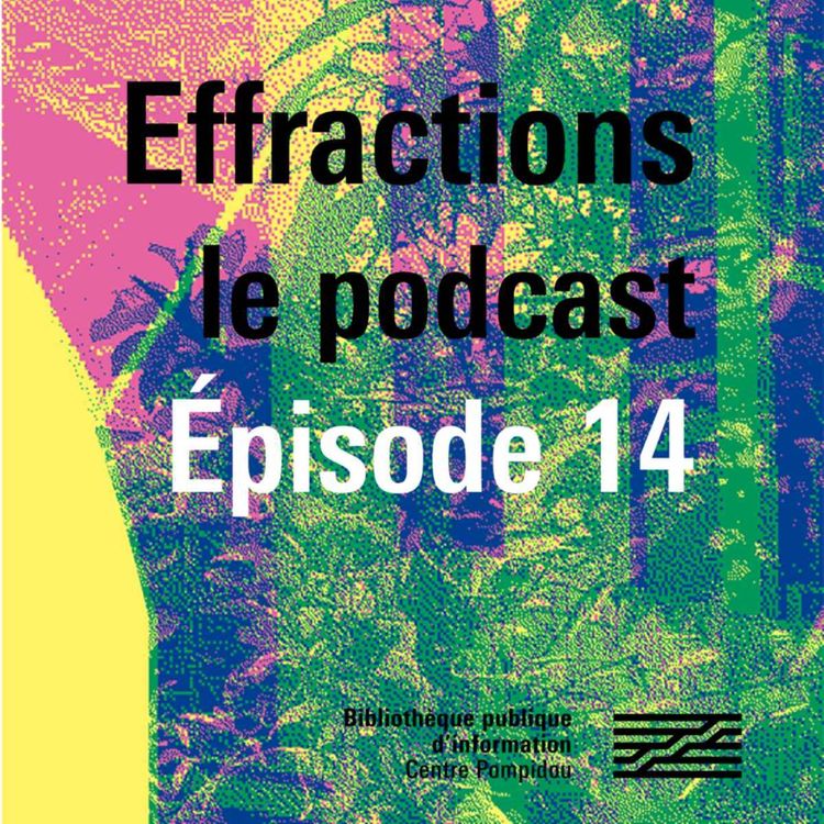 cover art for Effractions : le podcast #14. Sophie Nivelle-Cardinale parle de Mahmoud ou la montée des eaux