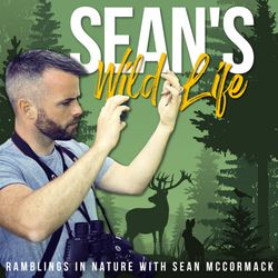 cover art for Sean's Wild Life