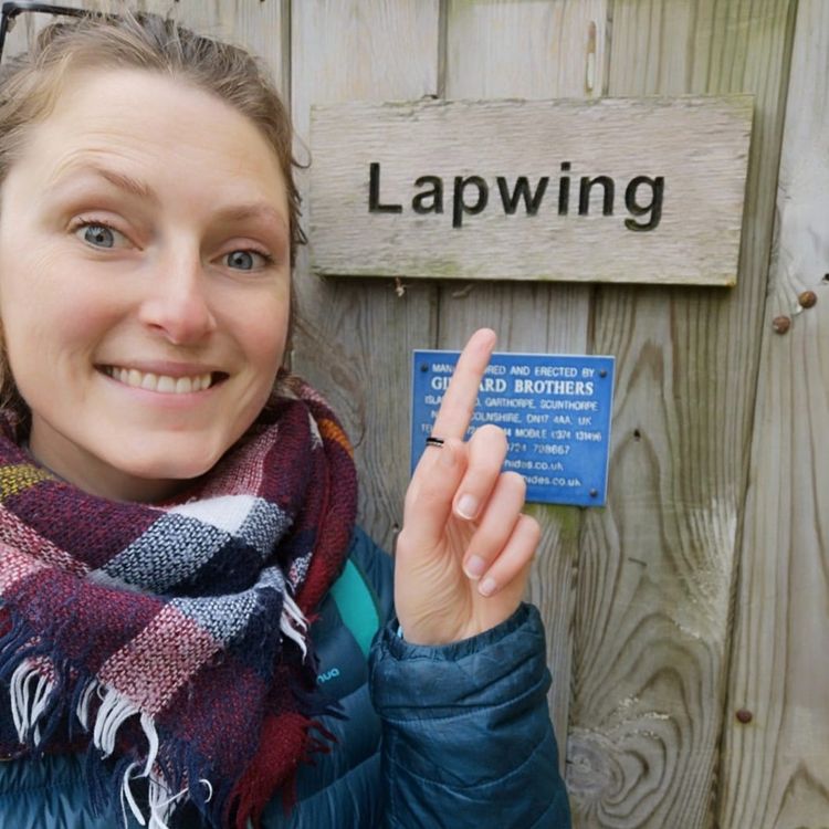 cover art for A Love of Birds