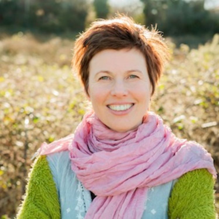 cover art for We are the ARK