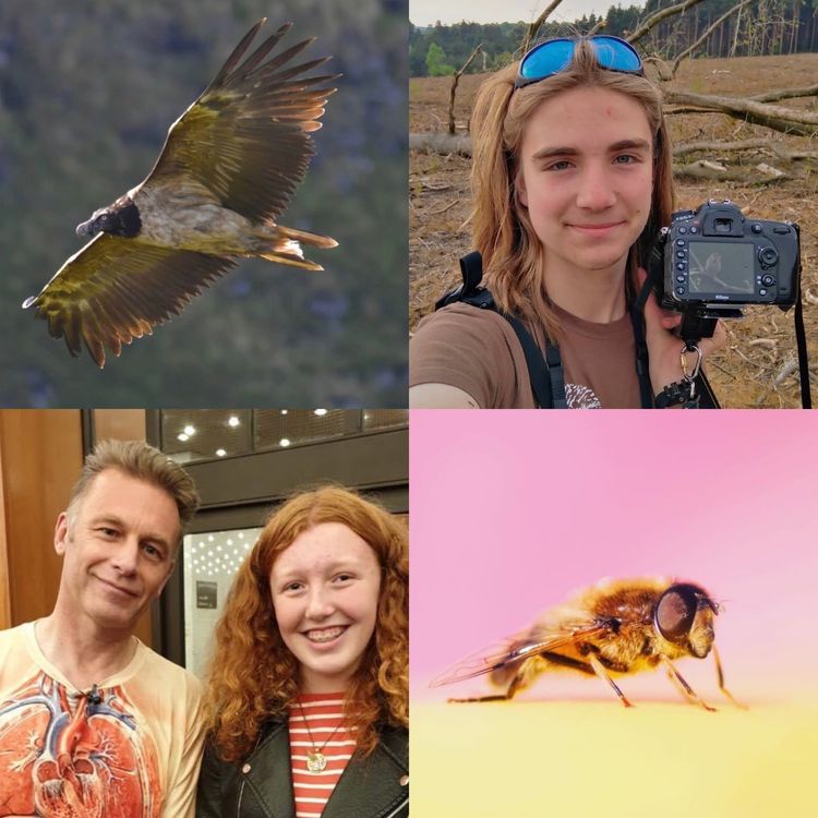 cover art for The kids are alright!