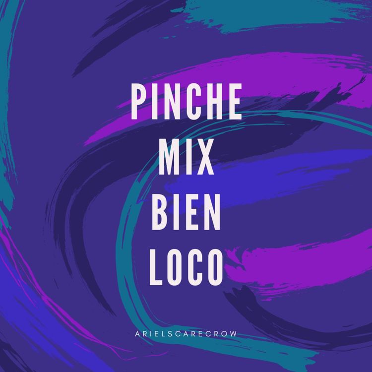 cover art for PINCHE MIX BIEN LOCO