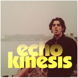 cover art for Echokinesis