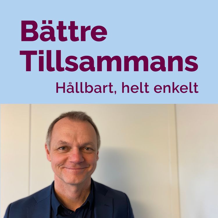 cover art for Statliga demokratiutredaren Henrik Selin