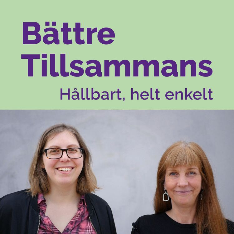 cover art for 12. Översiktsplanerarna Ulrika Gyllenberg och Susanna Evert