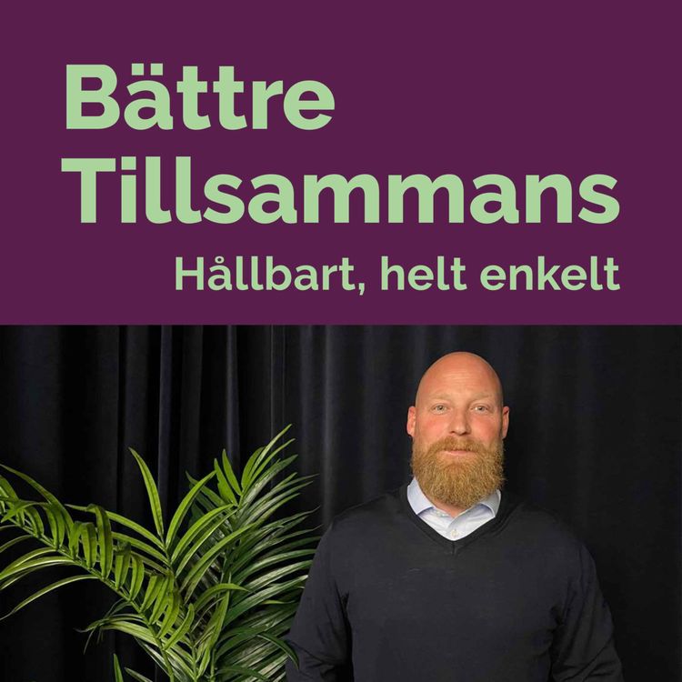 cover art for 22. Väktarchefen Fredrik Molin