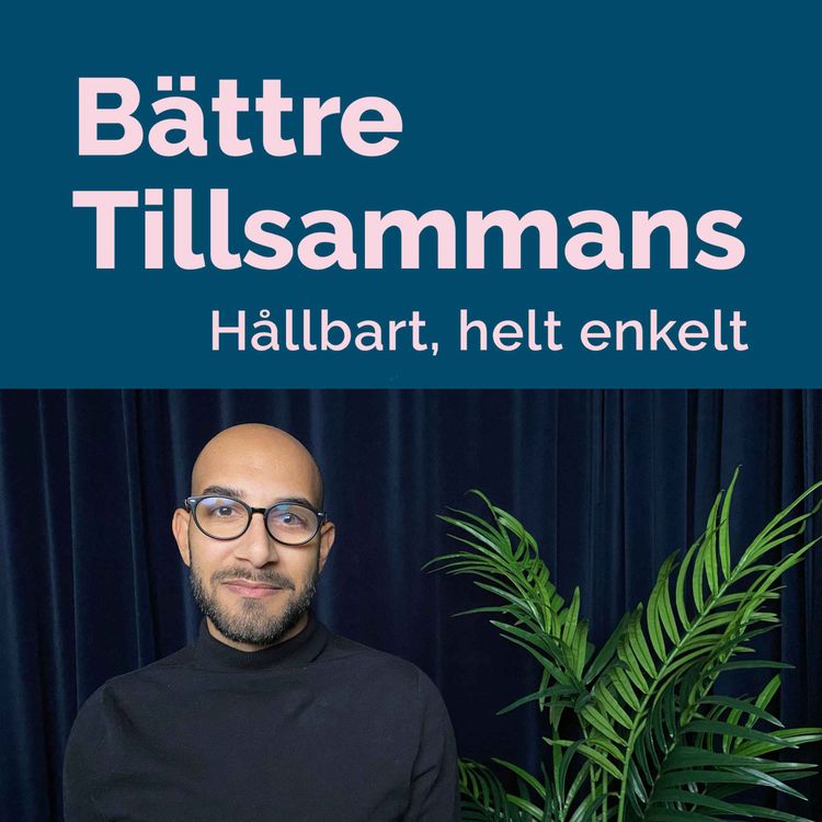 cover art for 38. Energi- och klimatrådgivaren: Så sparar du el hemma