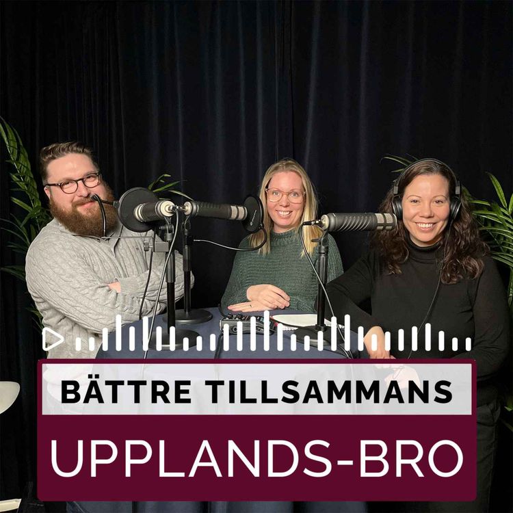 cover art for 39. Nytt namn, fler röster