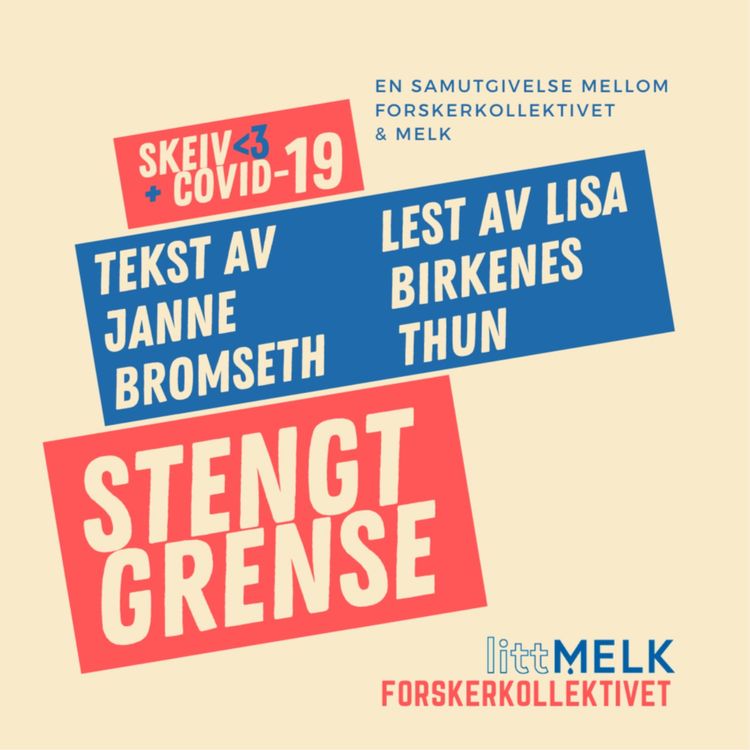 cover art for Stengt grense