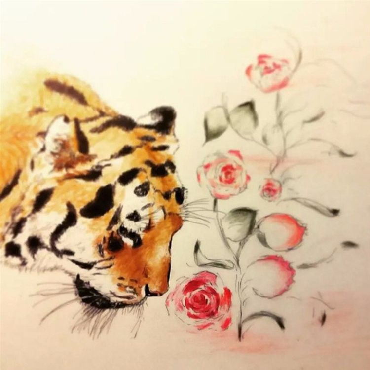 cover art for 我心有猛虎,细嗅蔷薇-西格夫里·萨松