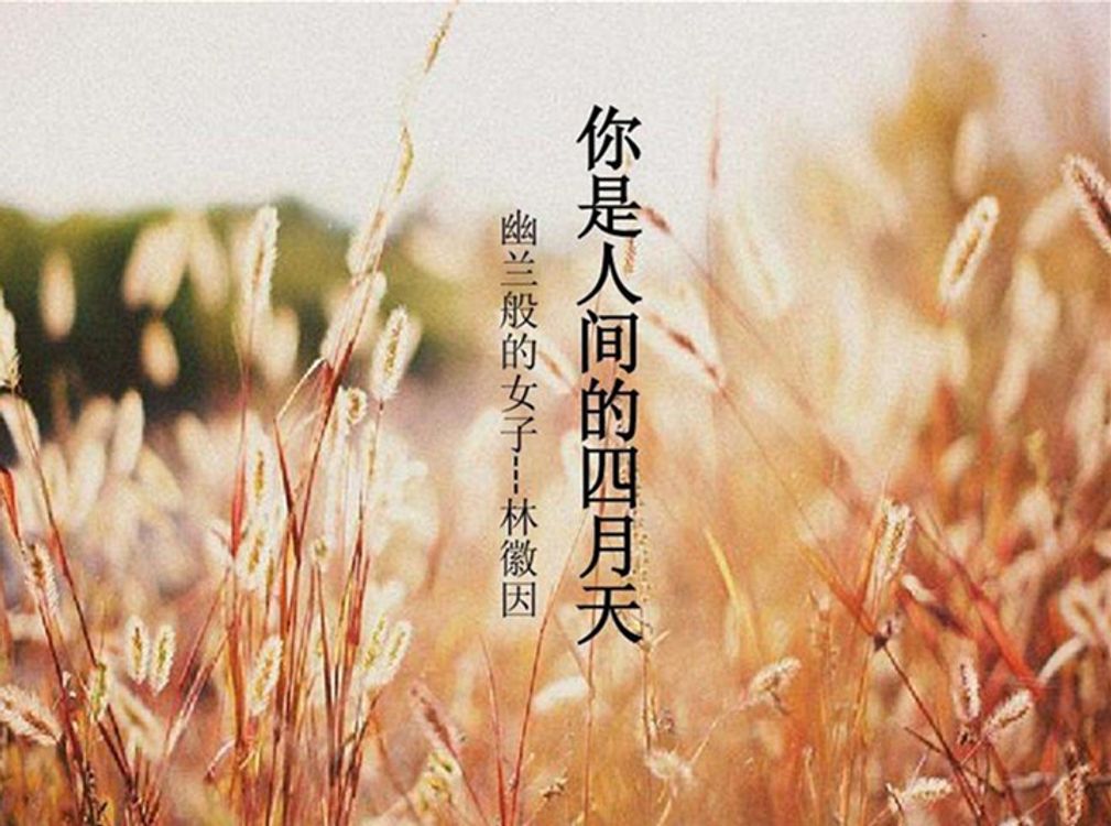 cover art for 你是人间的四月天