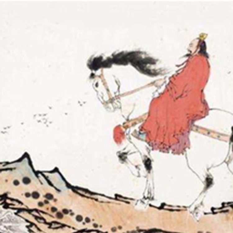 cover art for 龟虽寿：老骥伏枥，志在千里