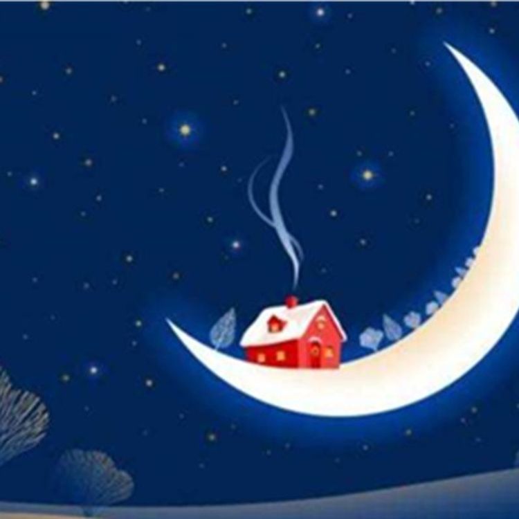 cover art for 海桑:月亮在说我 说你