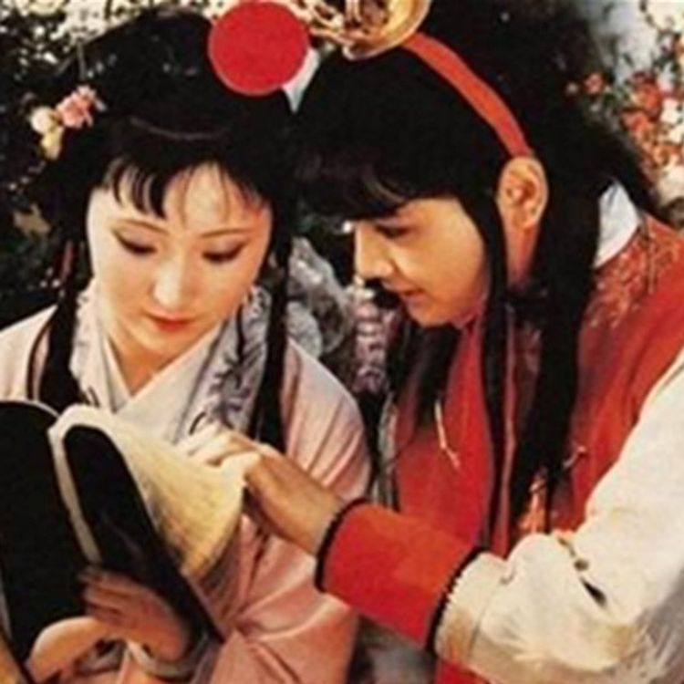 cover art for 古诗英译|红楼梦选段：枉凝眉