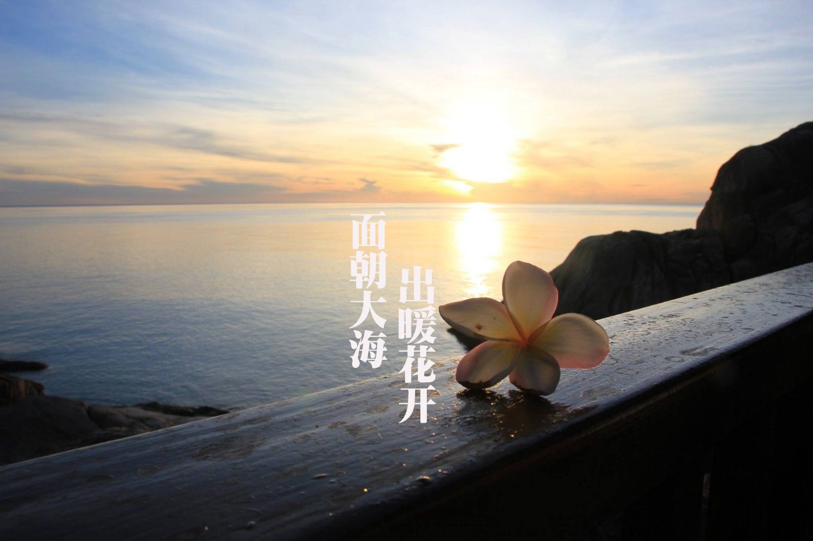 面朝大海 春暖花开 - 英文美文诗歌朗诵 | Acast