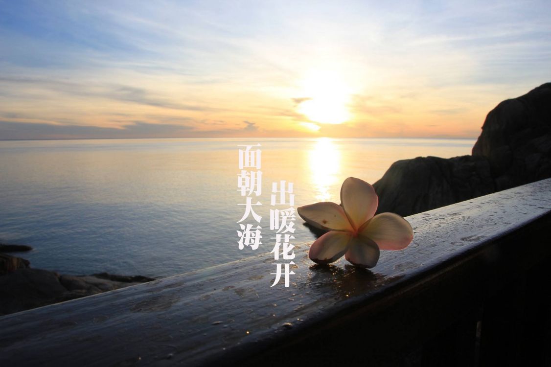 cover art for 面朝大海 春暖花开