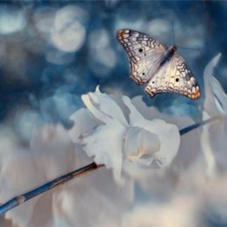 cover art for 余光中 今生今世