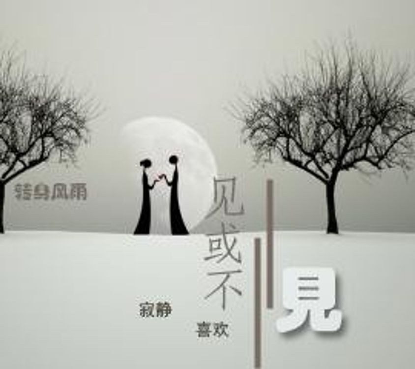 cover art for 见或不见
