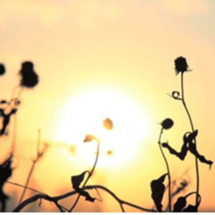 cover art for 明天将来临,它会带来,新的开始