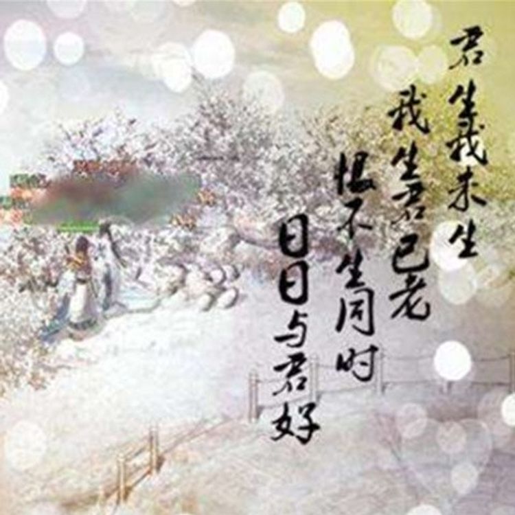 cover art for 君生我未生，我生君已老